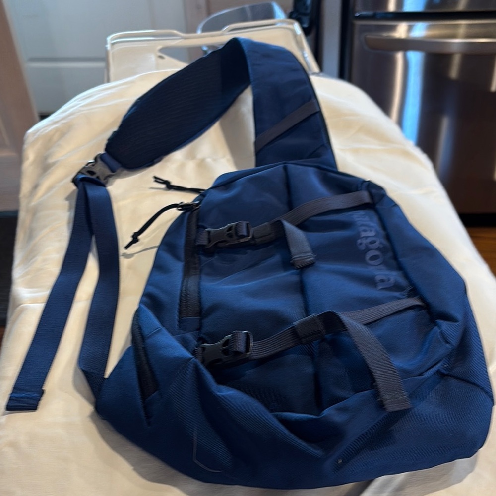 Patagonia Blue Luggage and Travel Bag with Spacious Design